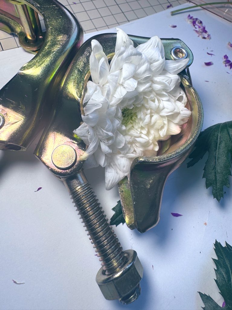 nomemene's tweet image. Behind the scenes: Creating the artwork for @SCRObaby's "By Divide"

Trial and error with clamps, chrysanthemums, and finding the right composition 🎨

試行錯誤したよ

#artistprocess #behindthescenes #albumart #nomemenewip