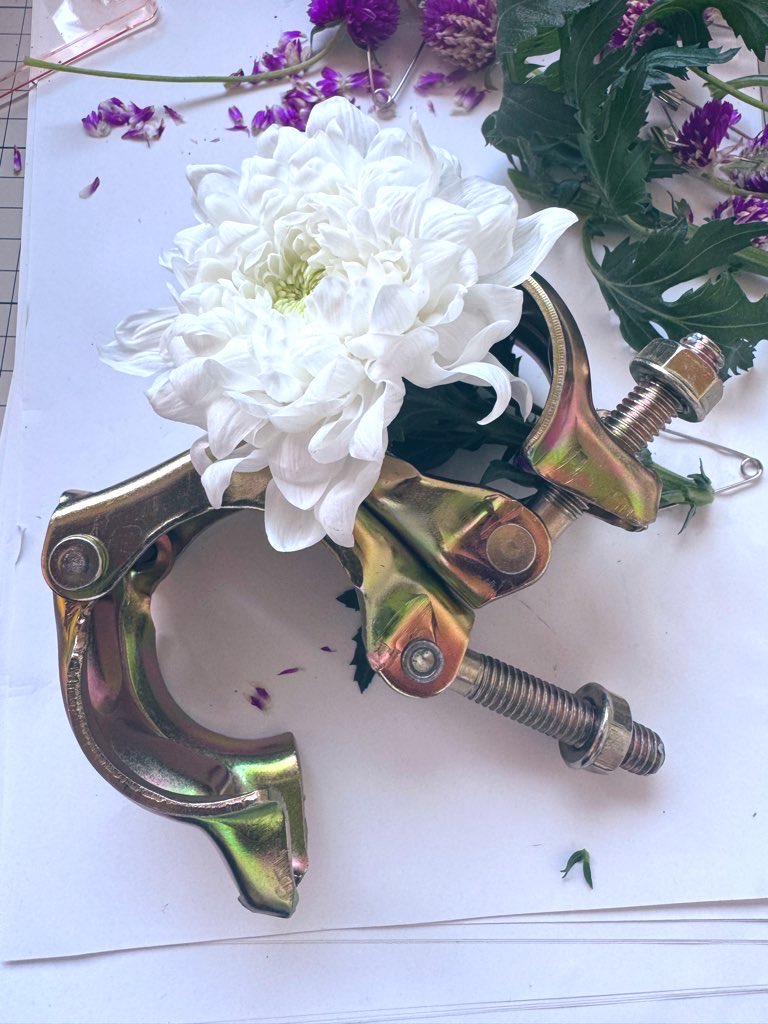 nomemene's tweet image. Behind the scenes: Creating the artwork for @SCRObaby's "By Divide"

Trial and error with clamps, chrysanthemums, and finding the right composition 🎨

試行錯誤したよ

#artistprocess #behindthescenes #albumart #nomemenewip