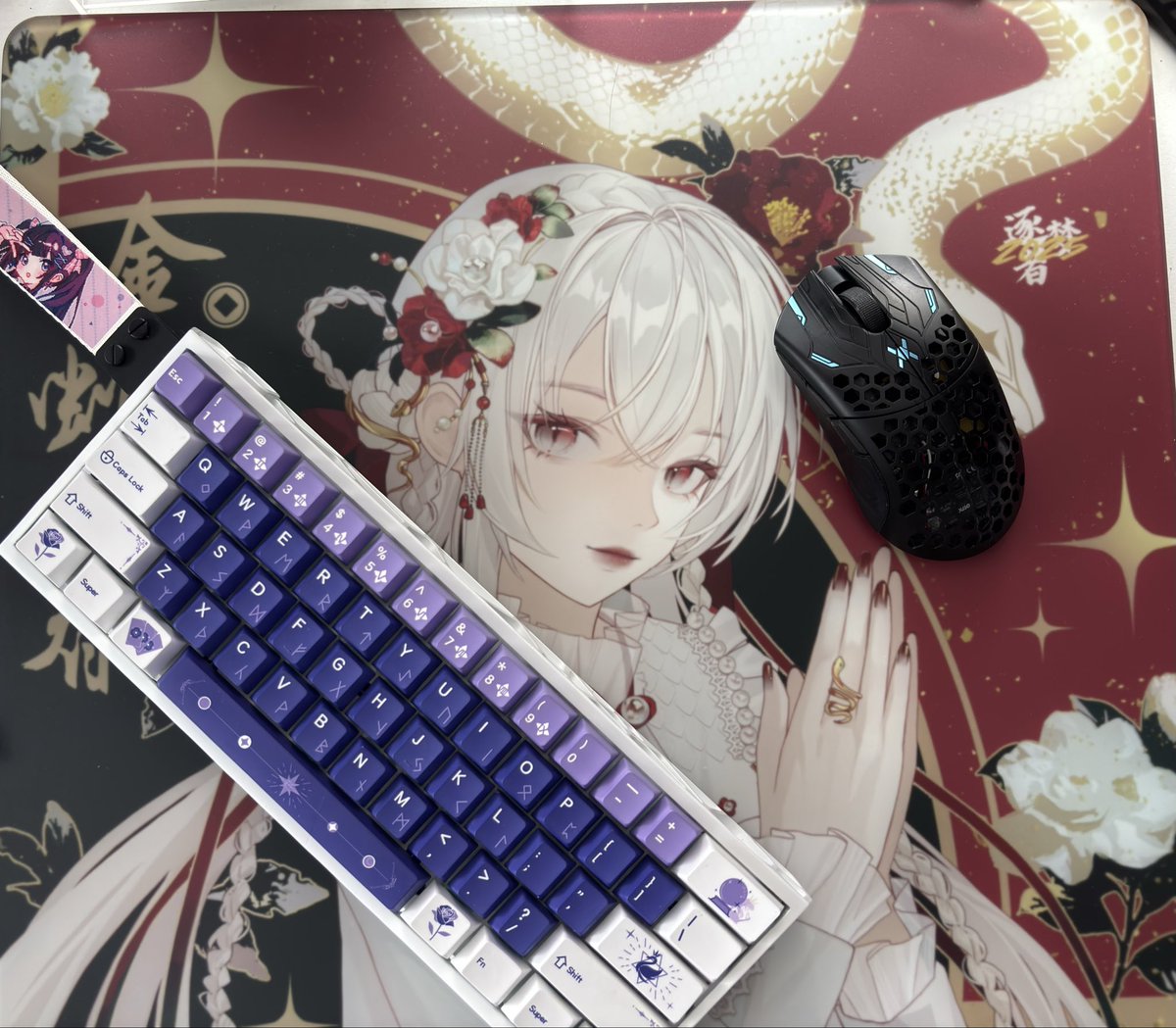 wakka03s's tweet image. 2025 setting #finalmouse #DreamGamer #wooting60He