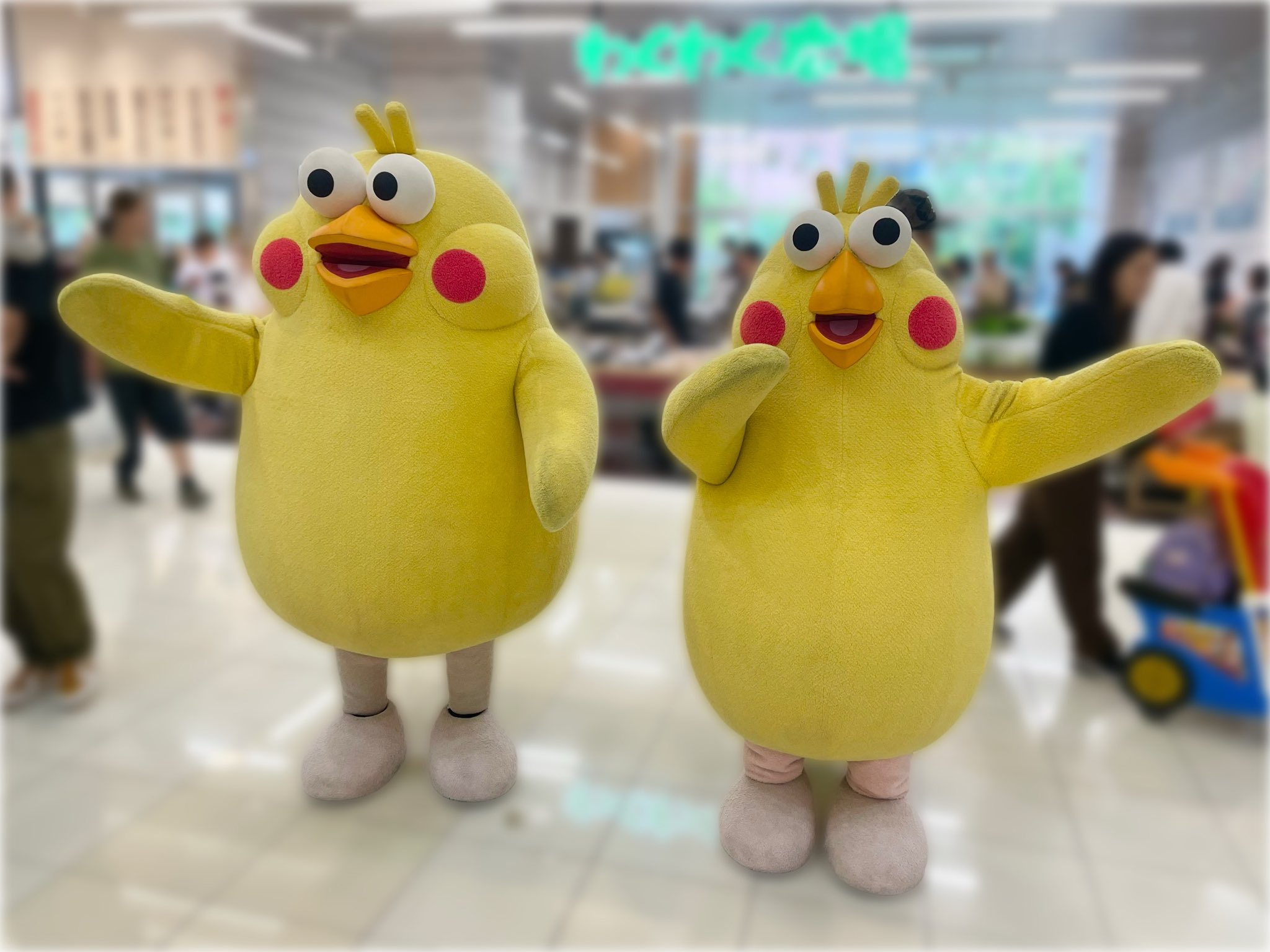 ぽいんこ ポインコの世界を覗いてみよう！