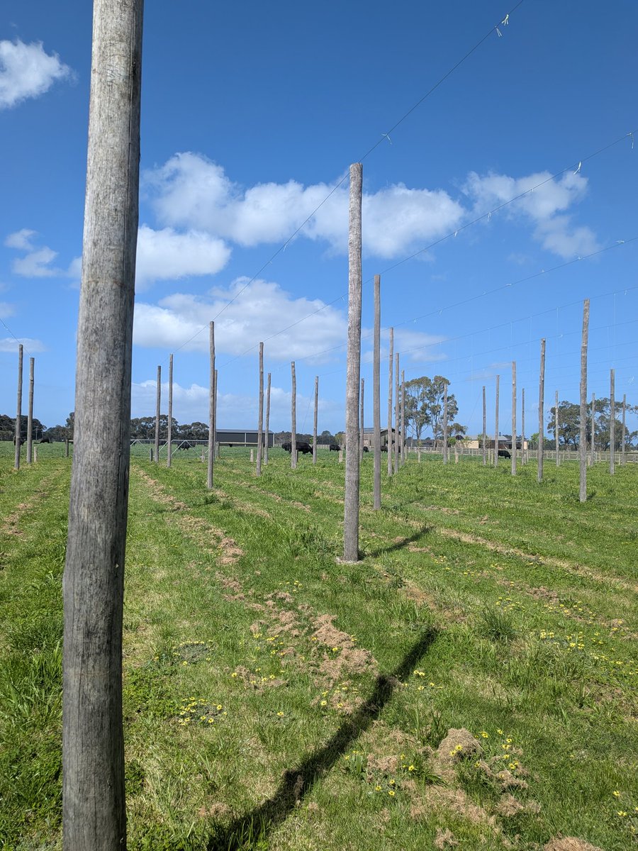Drinking beer made from the plants you're looking at is pretty chill