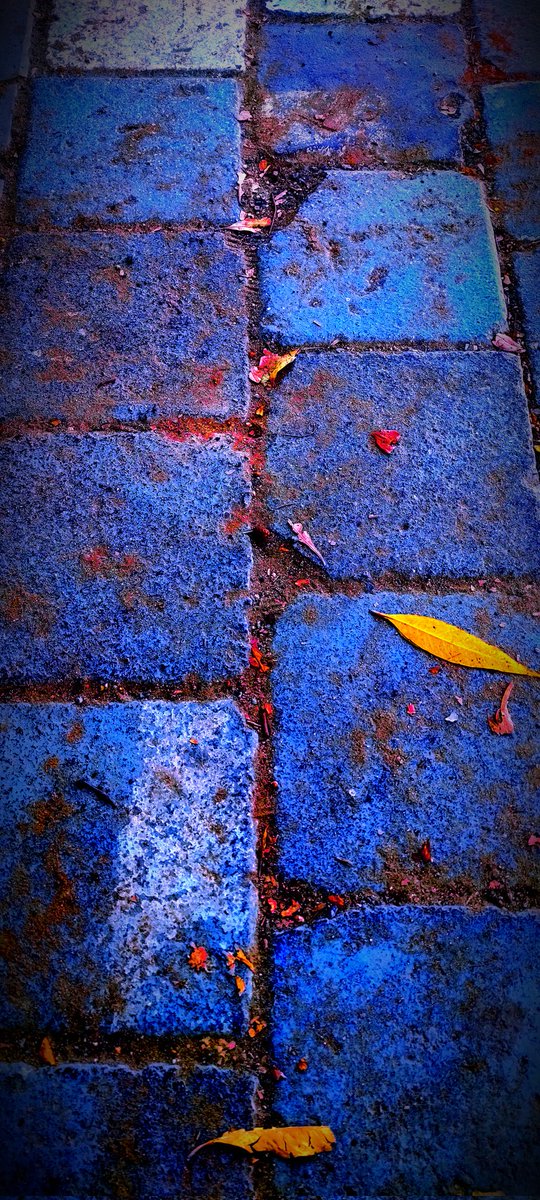 laksh7KD's tweet image. my clicks 📸

Quote your photography 🙌

mention it mobile or camera 🤍

This is a photo taken on my mobile 💯

#WorldPhotographyDay 
#photos 
#photooftheday 
#PHOTOISM