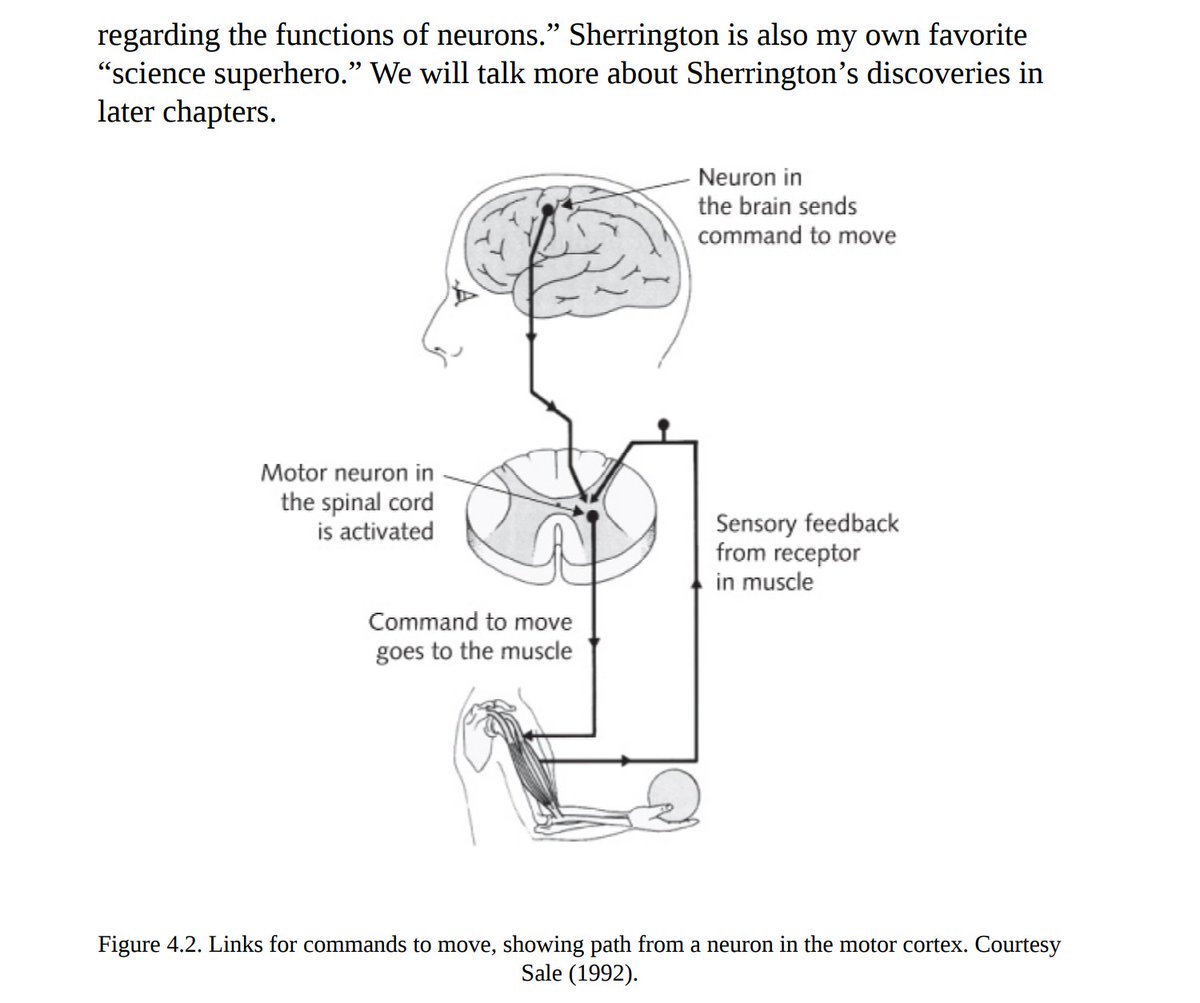 This is how brain controls the movement of our body parts, and all this happens in milliseconds.