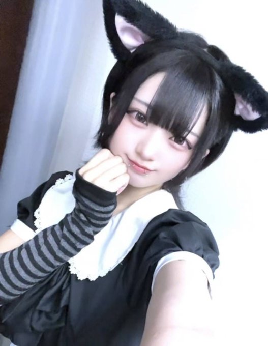 にゃんこメイドカフェ にゃんさんぶるのツイート