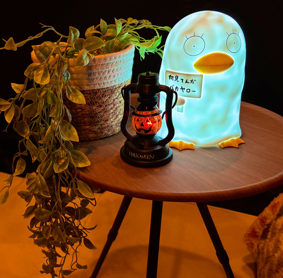 すこし早いけど‥👻
🎃ハッピーハロウィン🎃
#ハロウィングランピング
#coody
#coody10.0
#塩原グリーンビレッジ