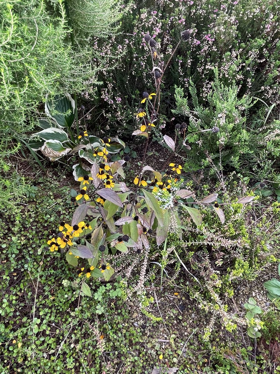 code_finalis's tweet image. 駅ビルの屋上で休憩^ ^