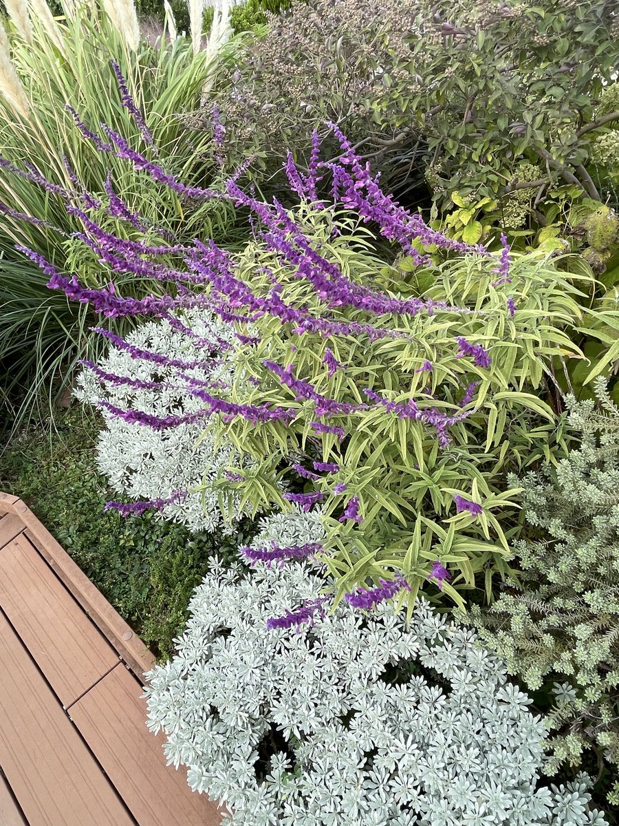 code_finalis's tweet image. 駅ビルの屋上で休憩^ ^