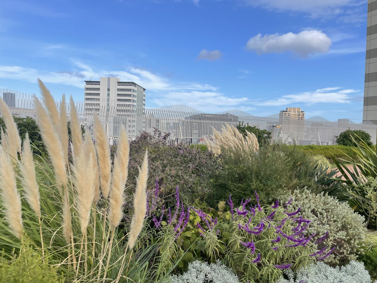 code_finalis's tweet image. 駅ビルの屋上で休憩^ ^