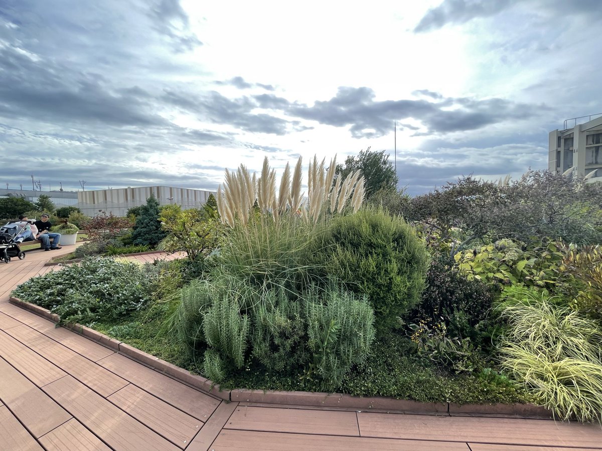 code_finalis's tweet image. 駅ビルの屋上で休憩^ ^