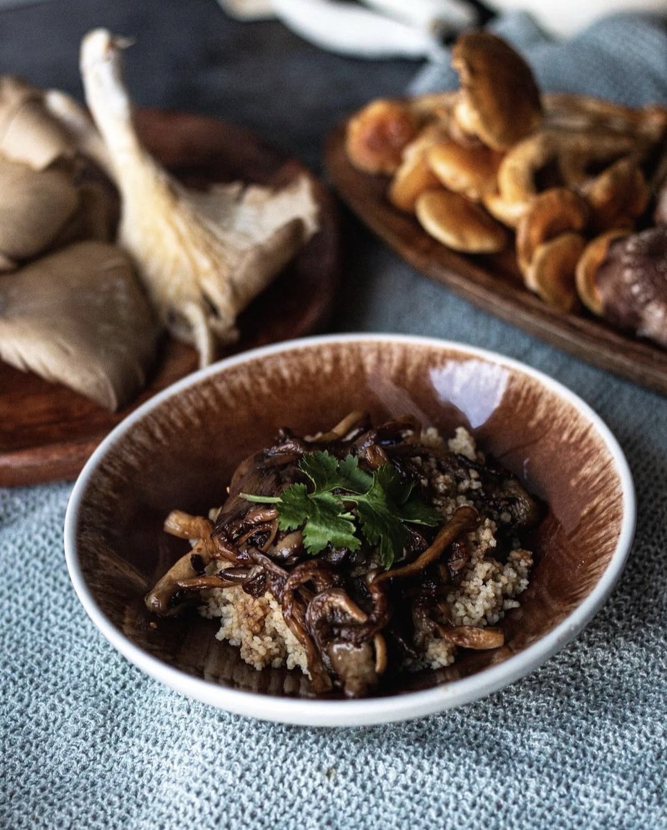 Marvellous mushrooms! Take your tastebuds somewhere exotic this weekend . . . 
#exotic #organic #Irish #mushrooms #exoticmushrooms #recipe #mushroomrecipe #shiitake #local #Garryhinch #lionsmane #shiitakes #organicfood #GoOrganic #GoExotic #GoIrish #Umami #FarmToFork #EatWell