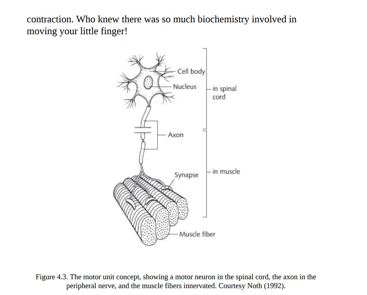 Anil (@anilcodes01) on Twitter photo 