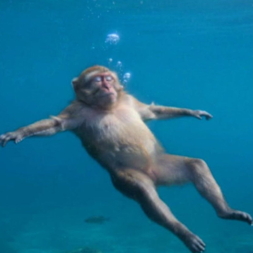 พูดแทบตาย สุดท้ายคิดแต่เรื่องโพ