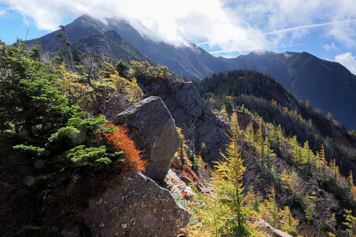 4111 外国切手アイスランド1972年 HERDUBREID 山と草花の風景 4111
