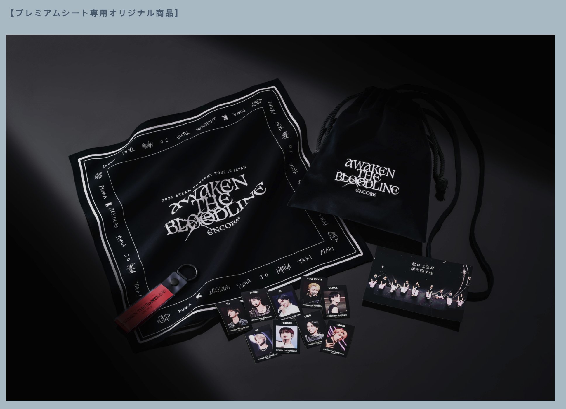 &TEAM AWAKEN THE BLOODLINE アプグレ特典 アジアツアー