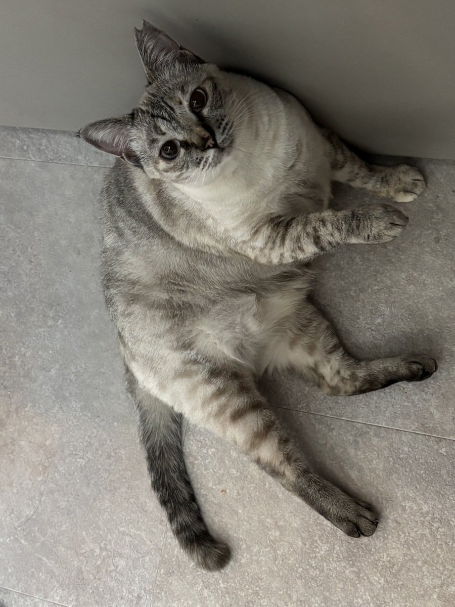 ラムネページ ラムネ Vol.3