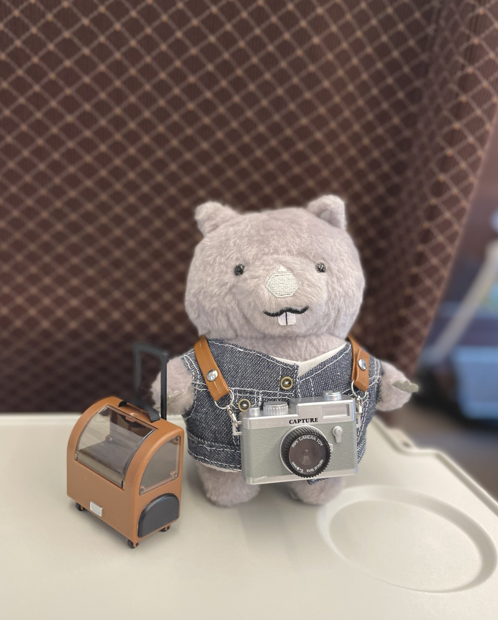 ウォンバットさま専用 まるみ on X: 