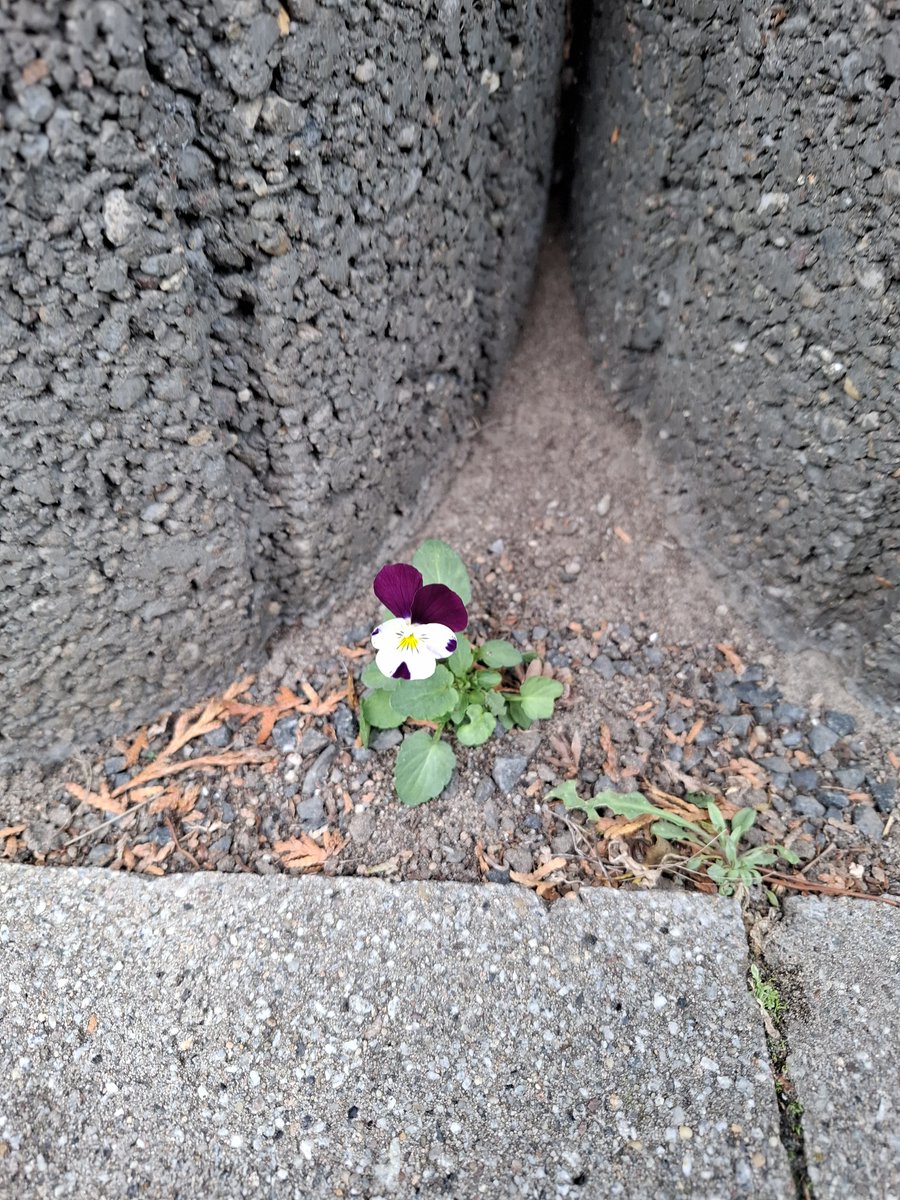 Moin, wünsche euch ein entspanntes Wochenende, nun aber erst einmal Käffchen :-)