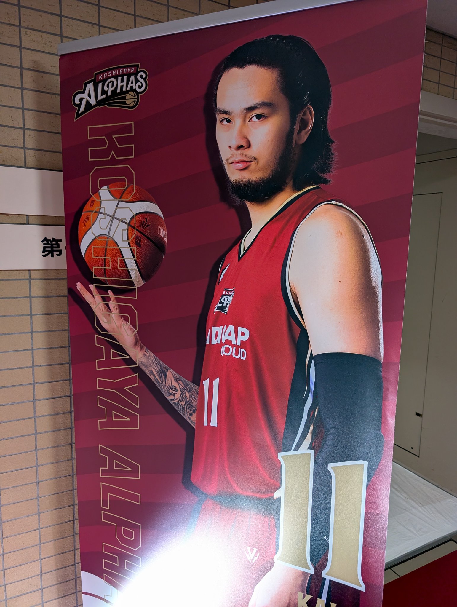 ラストサマーセール オアハカ 現地球 ボールタイプ_9 Yahoo!オークション -「アガベ オテロイ オアハカ 現地球」の