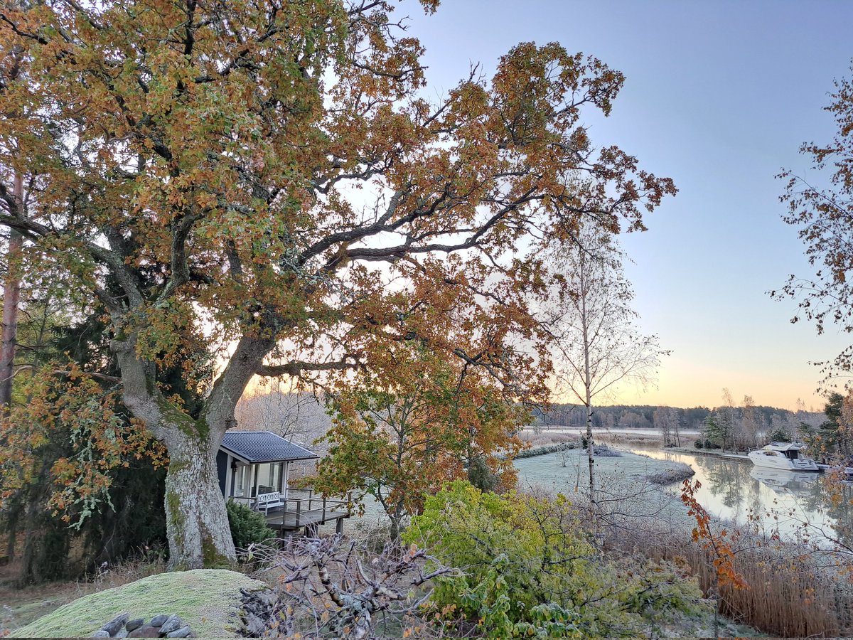 Huomenta! 
-5.9C kirpakka hetki auringon noustessa