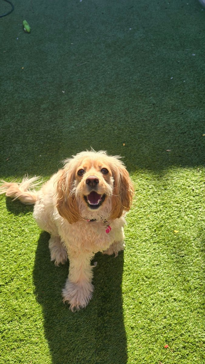 I will do anything for this special bean