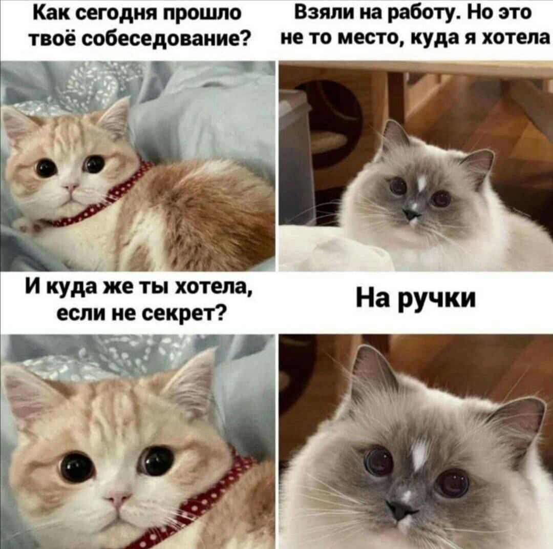 МАМА прислала мем впервые в жизни мем от мамы который подходит мне ИДЕАЛЬНО