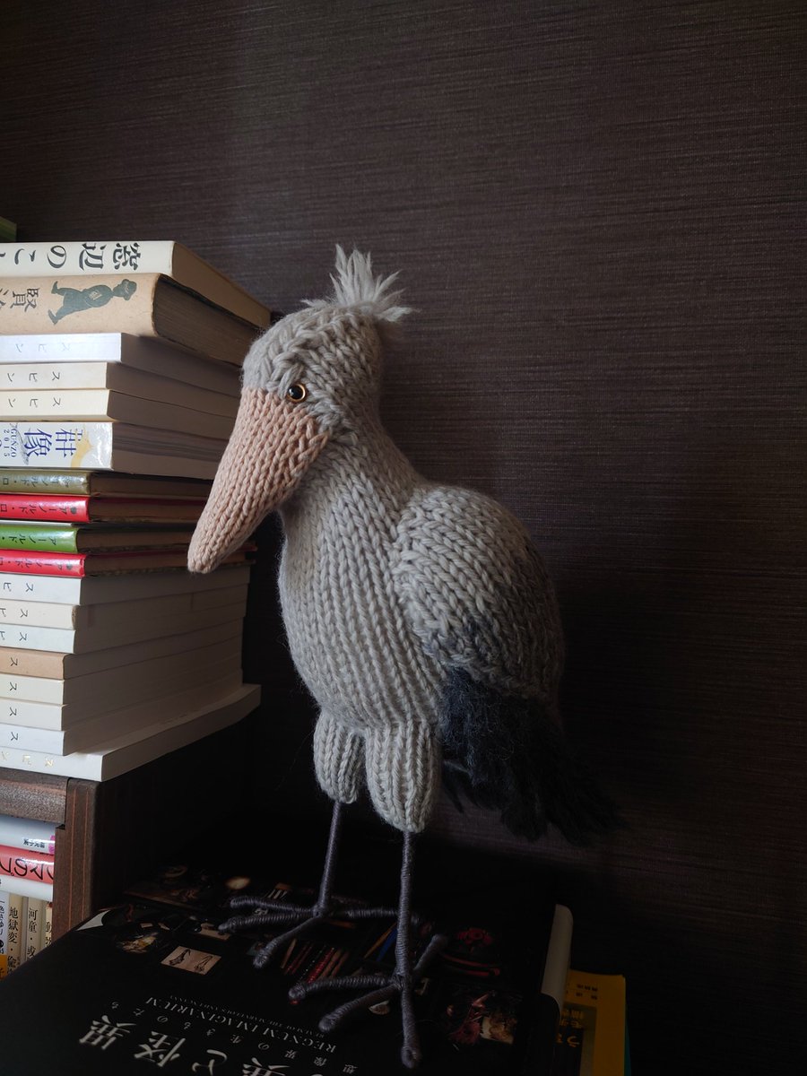 ハシビロコウ

#棒針編みのあみぐるみ
#あみぐるみ
#ぼうぐるみ
#amigurumi