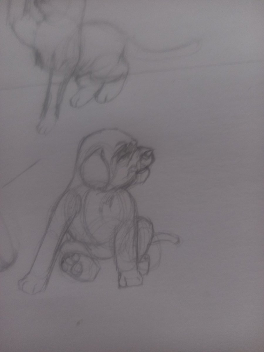 HowwaHM's tweet photo. spend 1 minutes on the body and 4 minutes on the face and it still looks like ass https://t.co/aIeFF6cWey