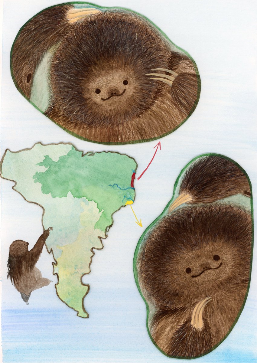 うさみみ (@usamimi20160721) / Posts / X