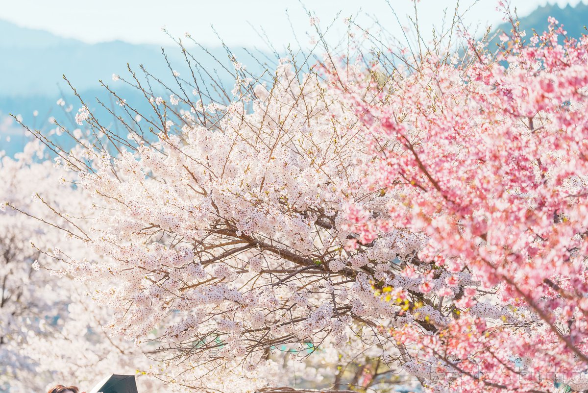 おつかれさま
今日もがんばった自分をほめてあげたい

#おつかれさま
#photography
#ファインダー越しの私の世界
#写真好きな人とつながりたい