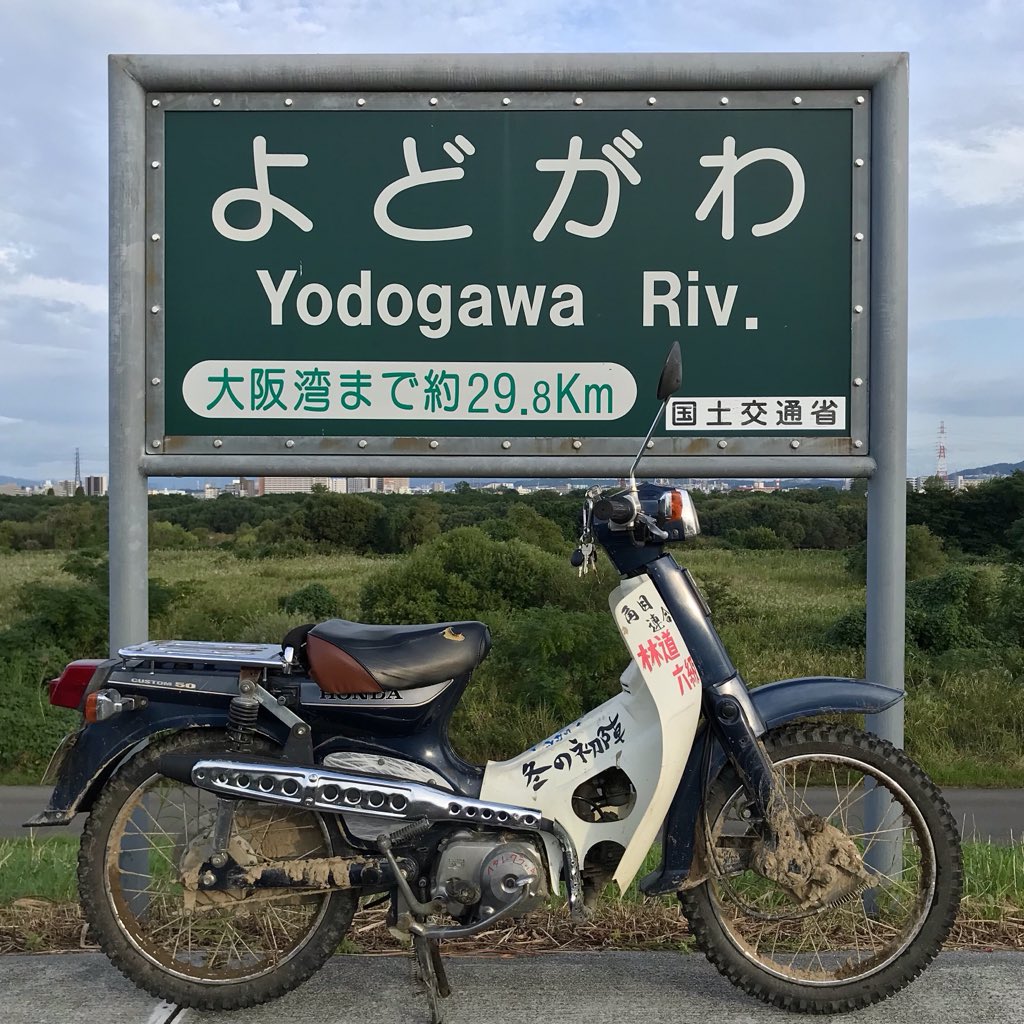 bellwood.🇯🇵 on X