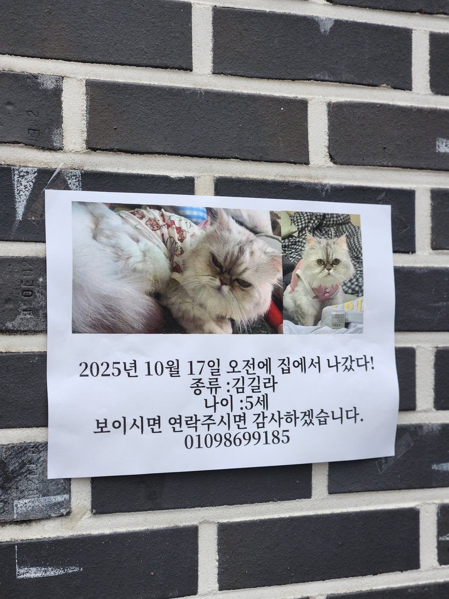 ㅜㅜ 쿼드 벽에 붙어잇엇어