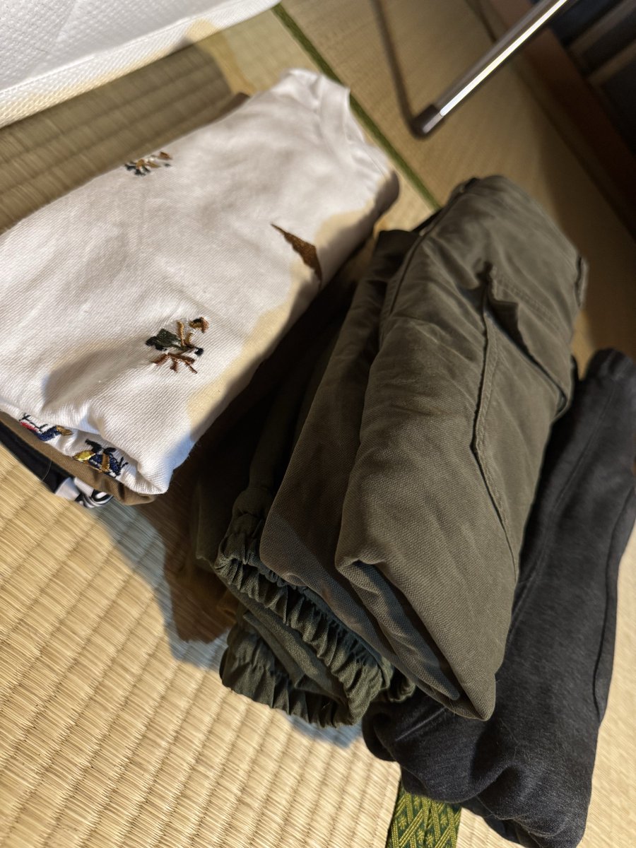 生活破綻者ワイ、1年ぶりに洗濯物をたたむ。