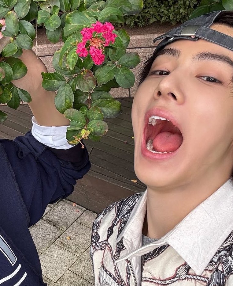 좋은 마음 tweet media