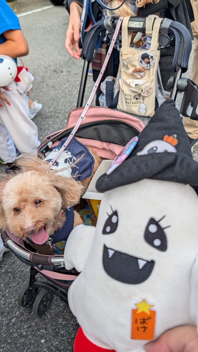 かめちゃん さよならカメちゃん 置きタイプ | 殺虫剤・防虫剤・殺虫器 通販
