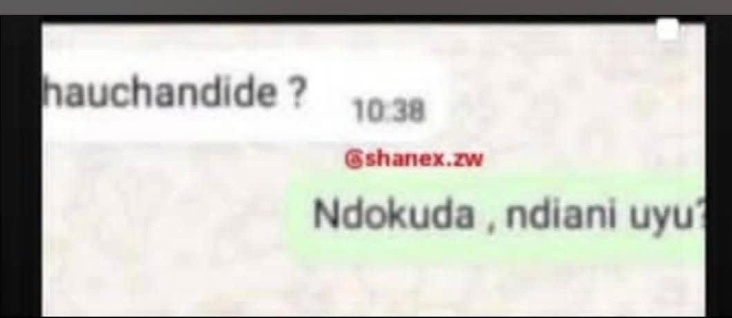 <a href="/ngaapinde/">Mskana wema Dimples 🇿🇼</a> <a href="/TeamFuloZim/">TeamFuloZim/Global</a> <a href="/bim_specialist/">Staples de Specialist</a> <a href="/ChikomanaC/">Chikomana Chitema</a> <a href="/TariroM_12/">Tariro M</a> <a href="/Alfred67686158/">Uncle Alfie 🇿🇼🇿🇦🇨🇨</a> <a href="/KingJayZim/">King Jay🇿🇼</a> <a href="/Lialarsen/">COOKING WITH LIA 👩🏾‍🍳🌱</a> Me and you Dimps