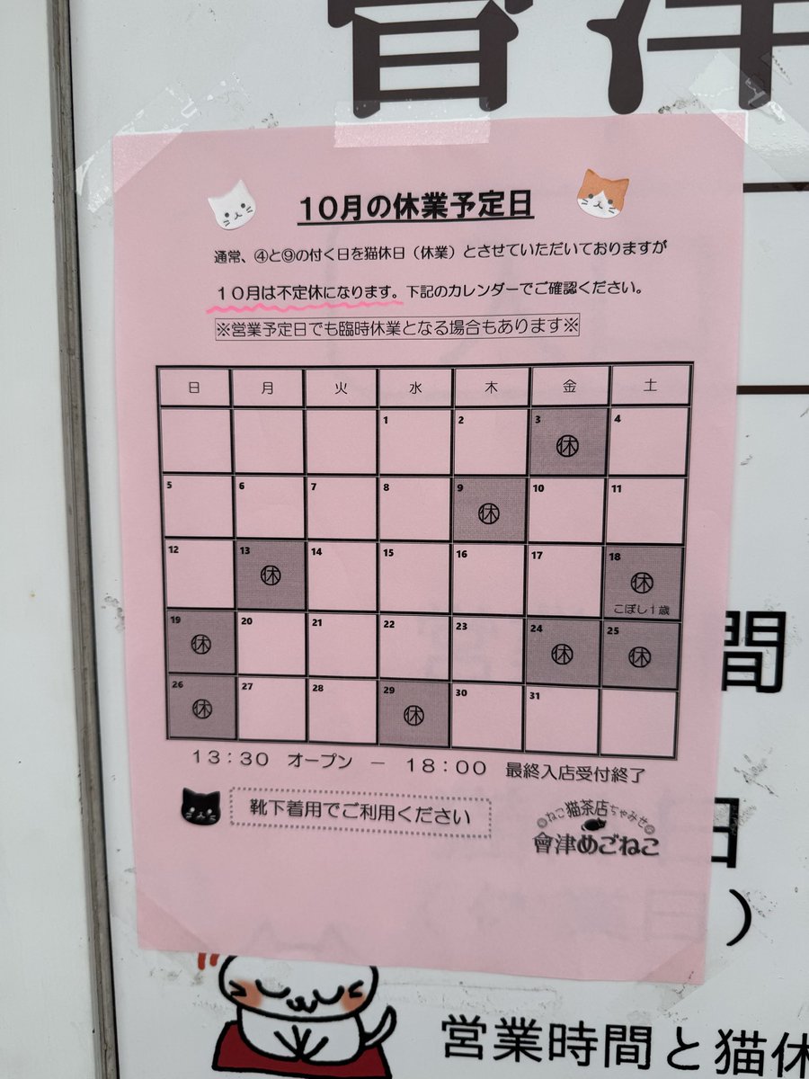 anessa2400's tweet image. めごねこさんお休みだった〜😭
#會津めごねこ