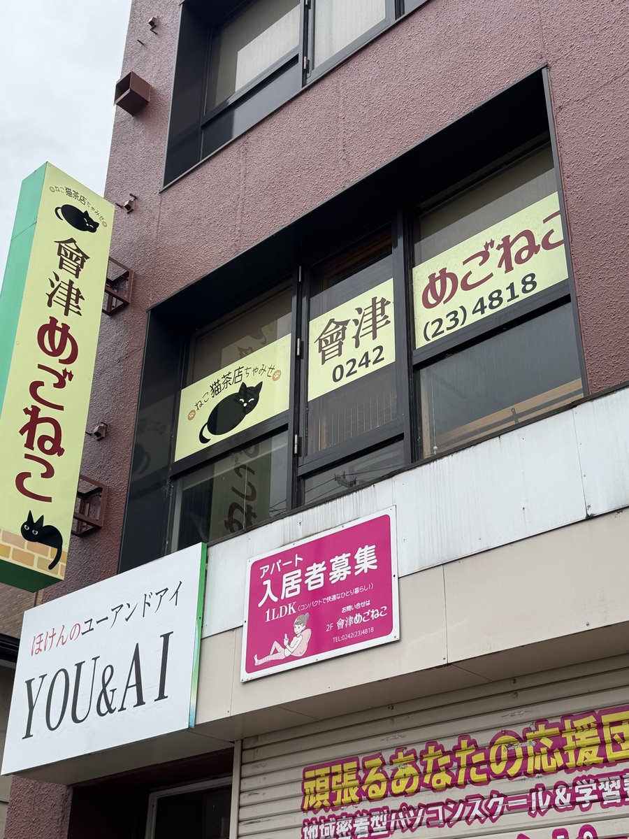 anessa2400's tweet image. めごねこさんお休みだった〜😭
#會津めごねこ