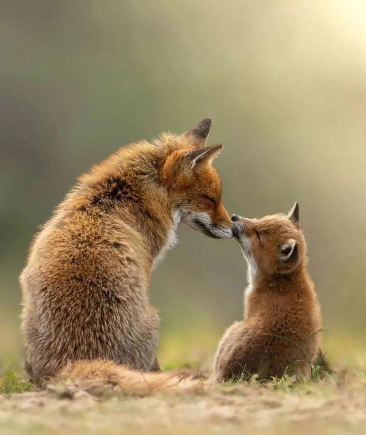 vivaneil (@vivaneil1234) on Twitter photo 