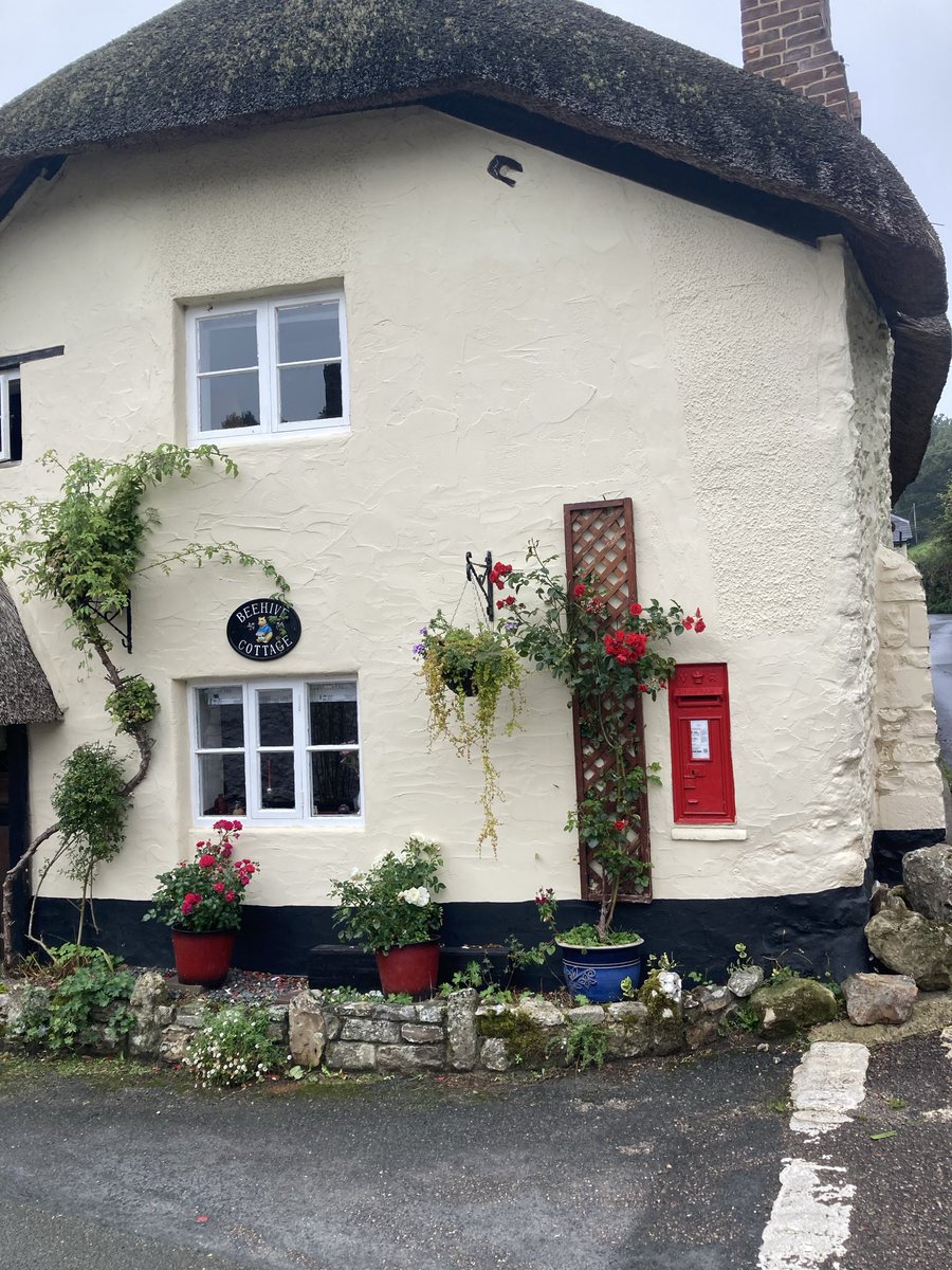 pollytyke's tweet image. Pretty little box tucked away at the bottom of a hill in Branscombe Devon #PostboxSaturday