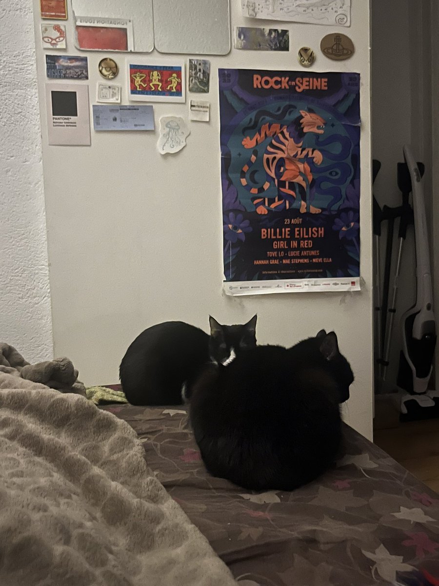 ki_aucube's tweet photo. Pomme et Tsuki avec moi ce matin pour un reveil (trop) matinal !! https://t.co/3hQyoiroOP