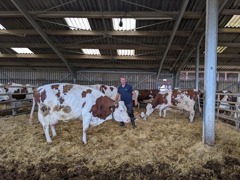 « J’élève moins de génisses et j’allonge les lactations », dans les Vosges dlvr.it/TNlFxB
