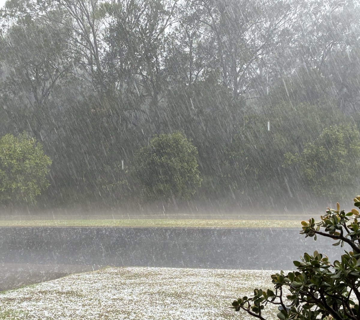 BronFredericks's tweet image. This afternoon’s storm left as quickly as it arrived, leaving hail across my front yard &amp;amp; puddles along the street, which neighbourhood kids are already playing in. Summer in SE Qld is not far away! #BNE #BNEStorm #Brisbane #Qld