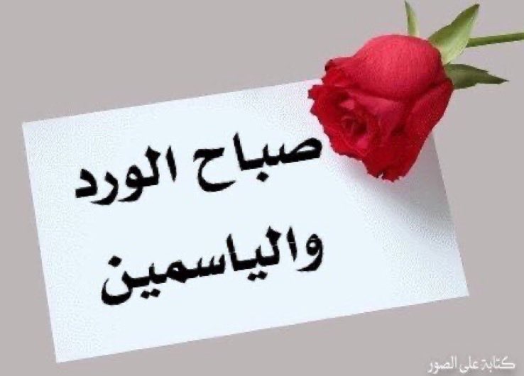 يسعد صباح اللي مع الصبح غرد
رايق وروق له من الناس مليـون

باسلوبه الراقي  وذوقه تفرد
غرد وخلا الناس  عقبه يغـنون

#صباح_الخير_