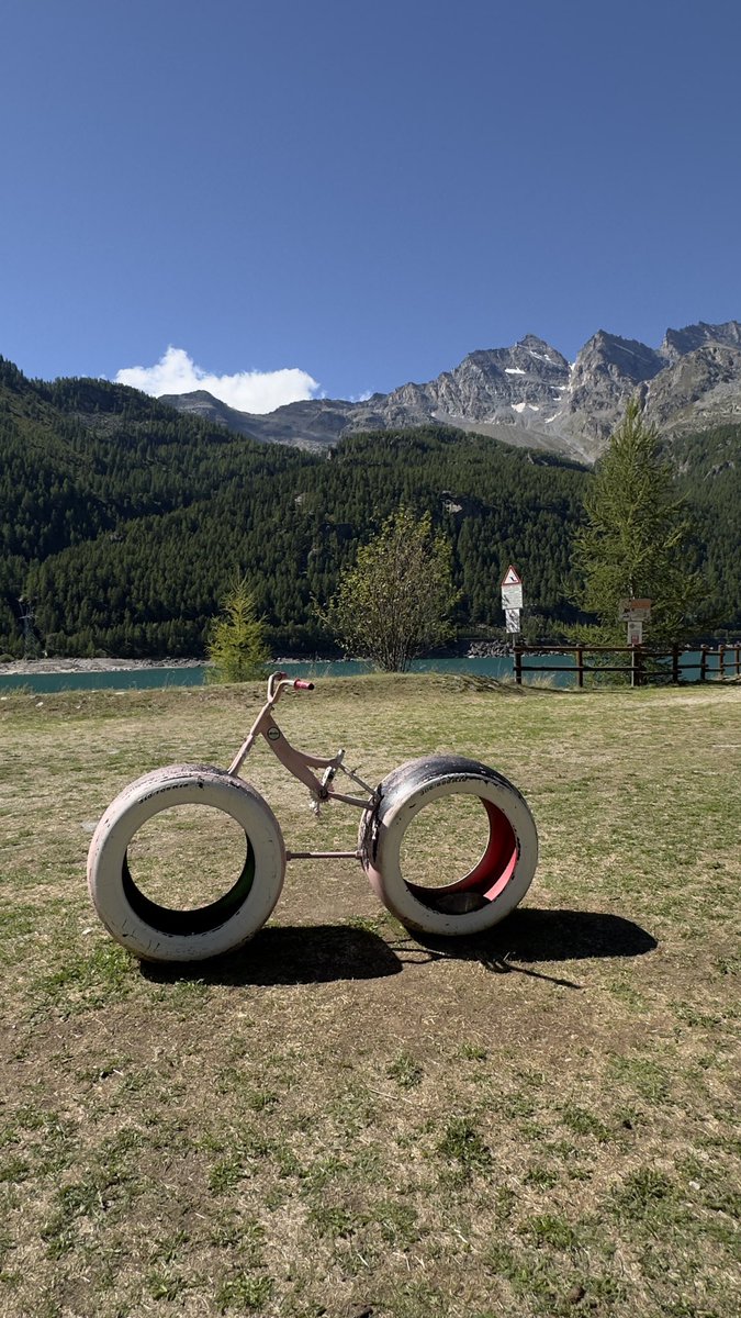 br35469's tweet image. Found the bike for my high-altitude training. Stable, yes. Light, absolutely not. My new model: &quot;The Impossible Diet.&quot; 🚲🏔️

#BikeLife #CyclingHumor #FitnessGoals #MountainViews