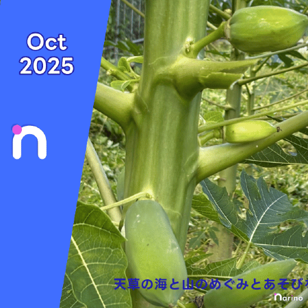 narino_jp's tweet photo. narino 通信｜Oct 2025

まだまだ暑さ��続いていますが、朝晩は過ごしやすくなってきました。柑橘も夏季もシーズン前の静けさか、あまり目立った行動がないの10月です。そのため、WEBメンテナンスや通販資材の在庫確認などバックヤードの業務を進めながら、青パパイヤの成長を https://t.co/0vG4bZrx1Y https://t.co/m5gRWgAhBq