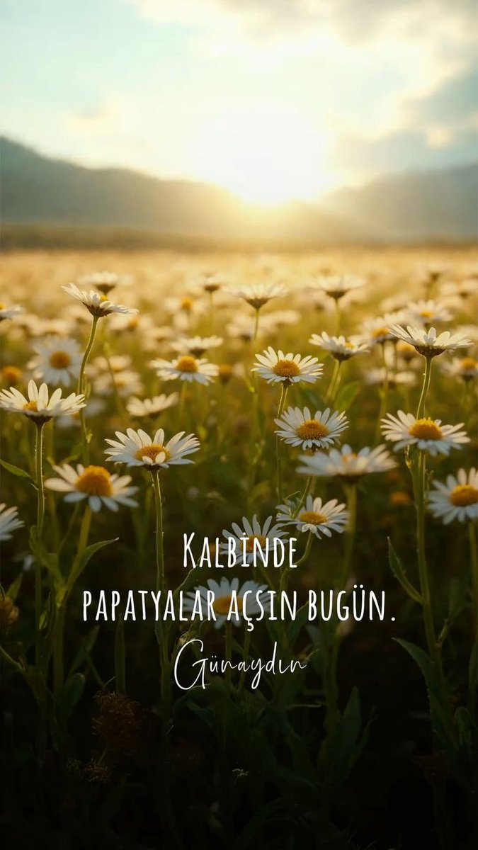 Günaydın 🌼