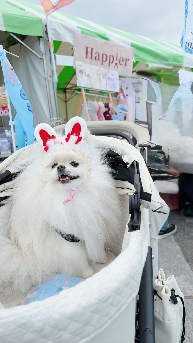 ゆきみページ ゆきみ🥕 (@yukimi04_19) / Posts / X