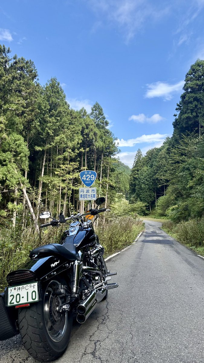 今日も近場の秋桜から
スタート🌸🏍️💨
モミジバフウも
少し紅くなってきました🍁

帰りにやっと秋晴れ！😆
