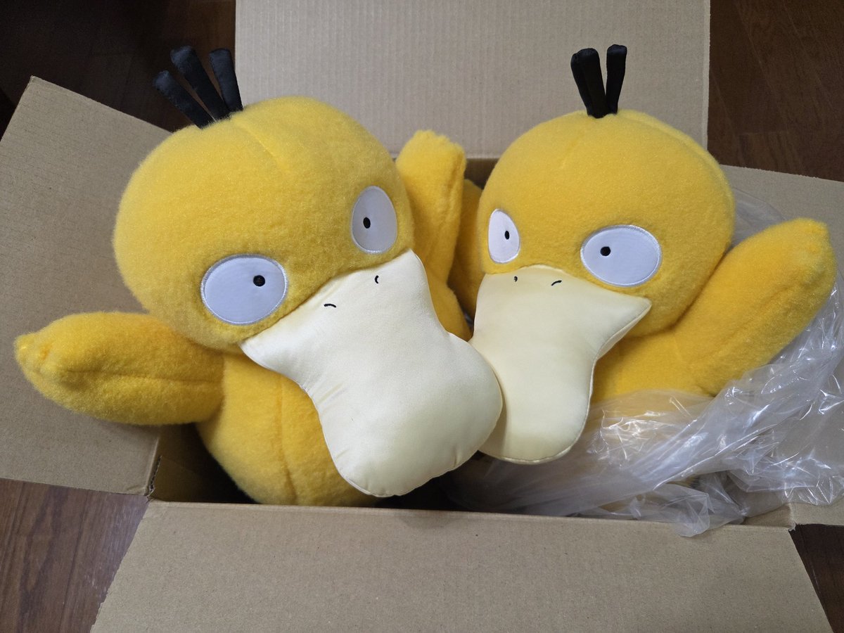 ポケモンセンター公式X様よりキャンペーン当選品としてポージング