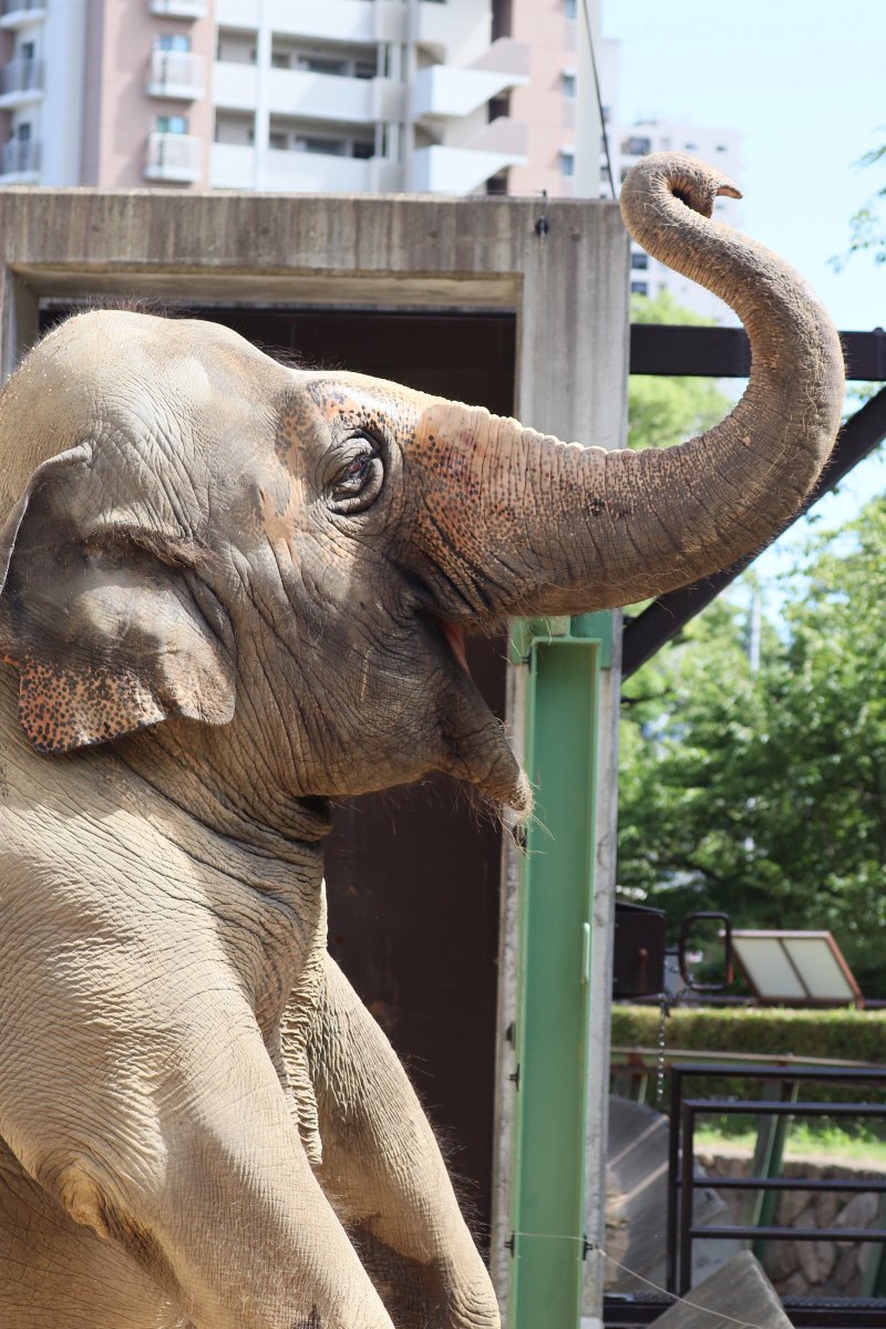 Sasmile (@Sasmile16) / Posts / X